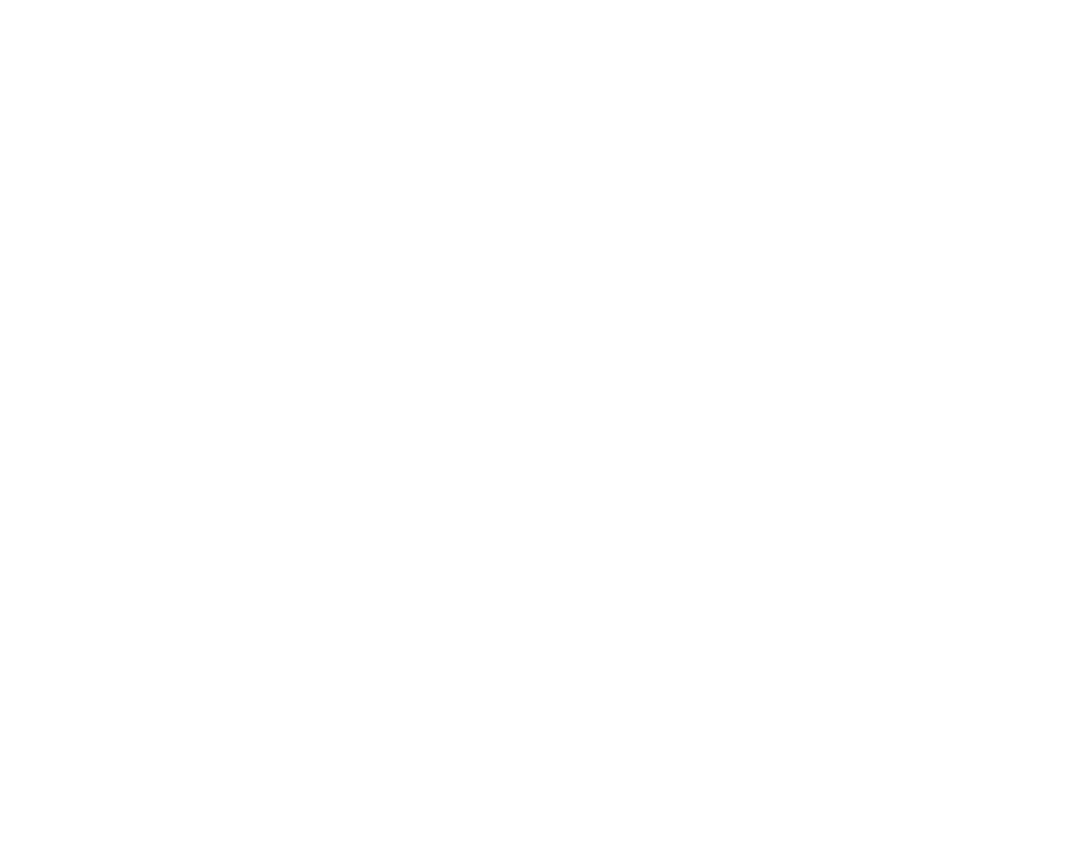 EVER ASCENT INTERNATIONAL LTD